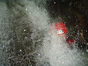 P1010064.JPG