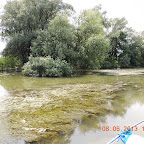 DSCN7290.JPG