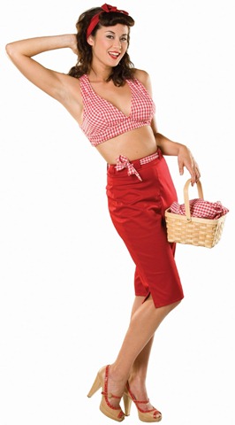 [adultpicnicpenniecostume6.jpg]