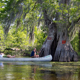 BasinkeeperPaddleTripBayouSorrell