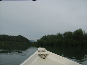 IMG_0285.jpg