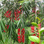 Coffee Tour © Foto: Doreen Schütze | Outback Africa
