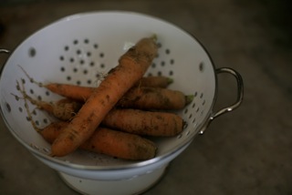 I substituted my own carrots for sweet potato in this recipe.