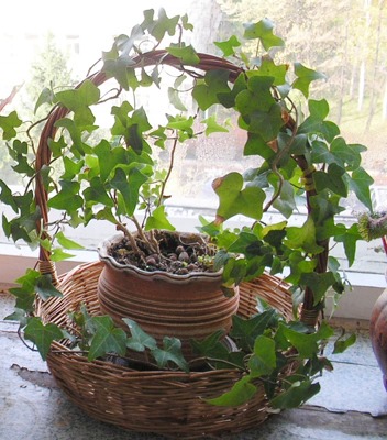 [00000001_1422%5B4%5D.jpg]