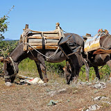 IMG_4458.JPG