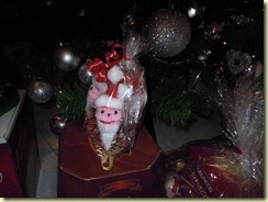 DSCN0377 DSCN0377