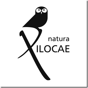 Logo copia