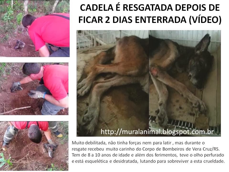 [CADELA%2520ENTERRADA%255B3%255D.jpg]