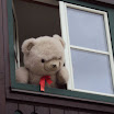 DSC02473.JPG