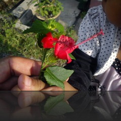 DSC00013 DSC00013