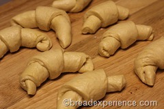 pumpkin-knot-yeast-rolls_1608_thumb[4]