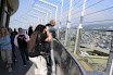 Seattle Visitors