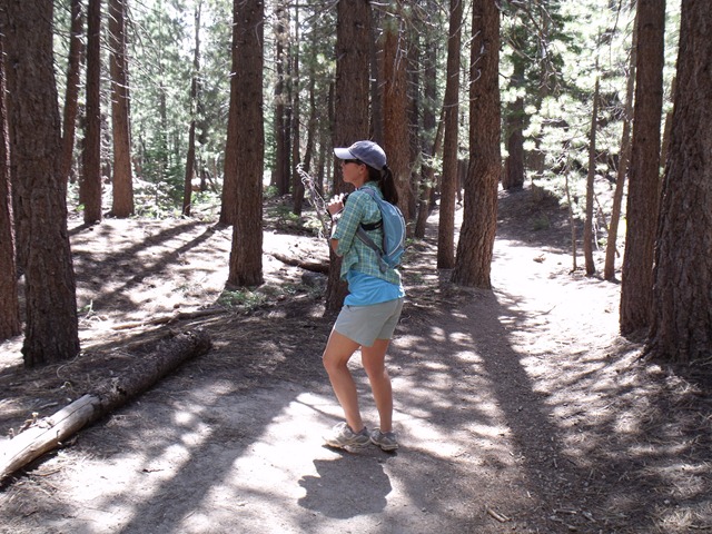 [mammoth%2520087%255B3%255D.jpg]