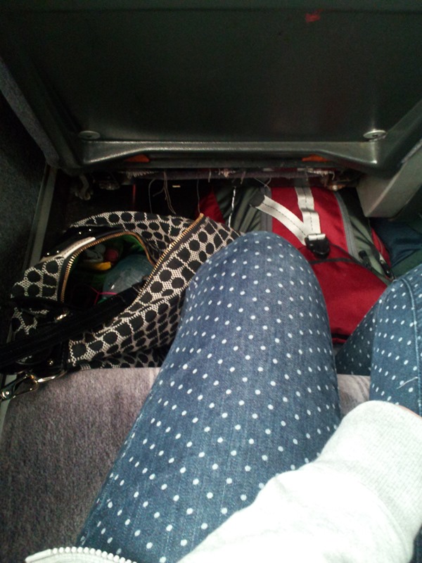 brownie diaries: southern regional honors conference.