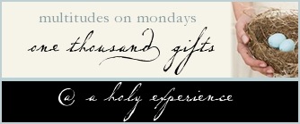 [multitudesonmondaysbutton2%255B2%255D.jpg]