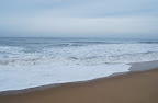 DSC_0350.JPG