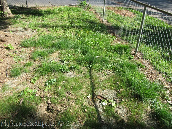 IMG_2241 IMG_2241