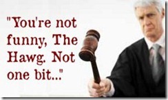 judge judge