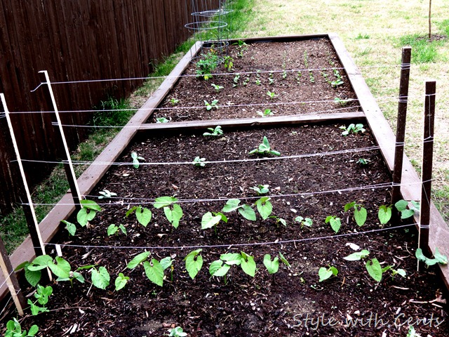 square foot gardening how to garden in a raised garden bed9