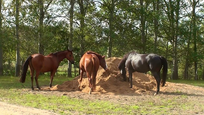 [20140911110402-%25281%2529%255B2%255D.jpg]