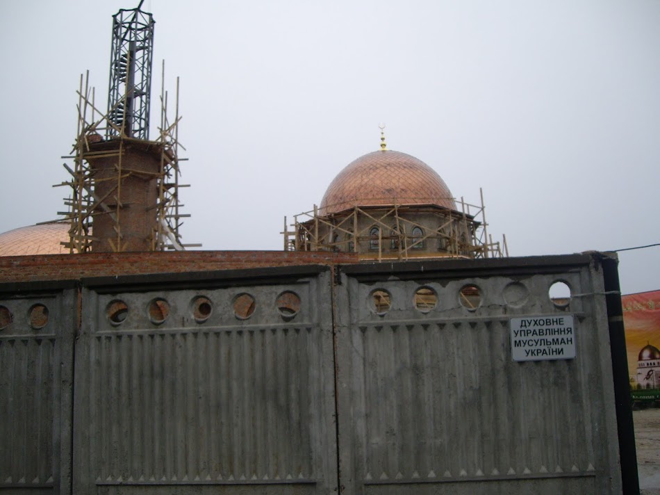 IMGP9528.JPG