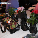 IMG_6571.jpg