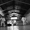 _DSC0841.JPG