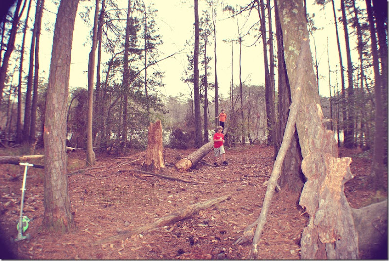 fish-eye-lens