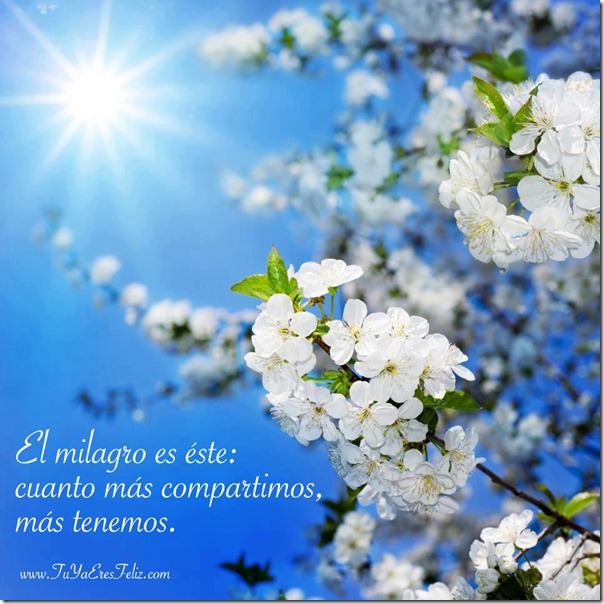 compartir compartir