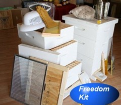 Freedom Freedom