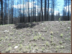 IMG_3997 IMG_3997