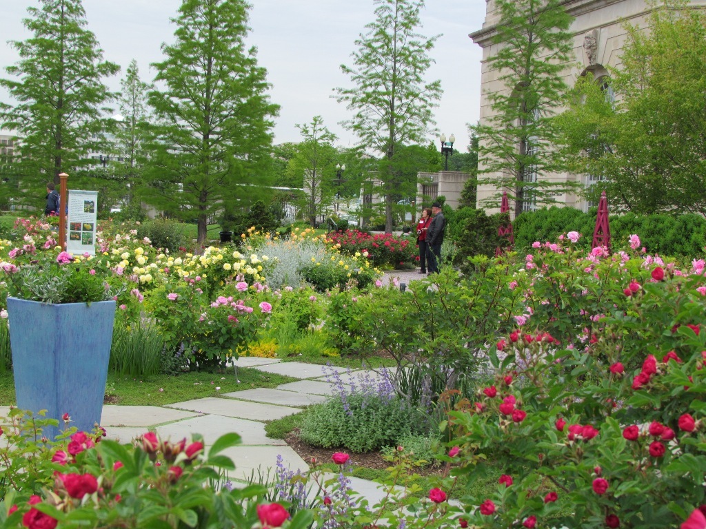 [dc_botg_rose_garden3.jpg]