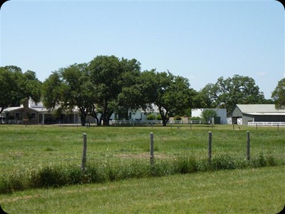 P1010388