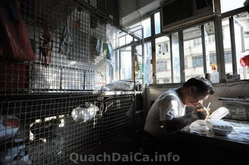 Quach Dai Ca