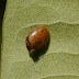 P1090372