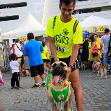 Pet Express Doggie Run 2012 Philippines. Jpg (267).JPG