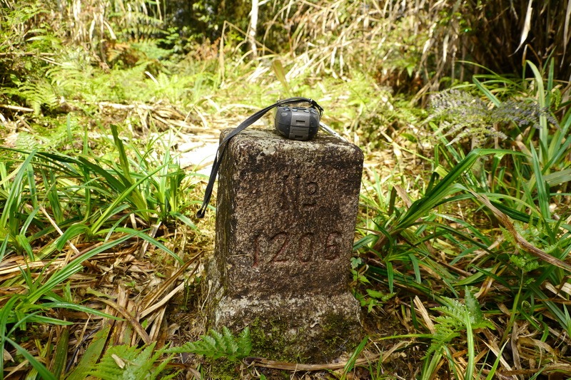 2013_0301 新城山_067 2013_0301 新城山_067