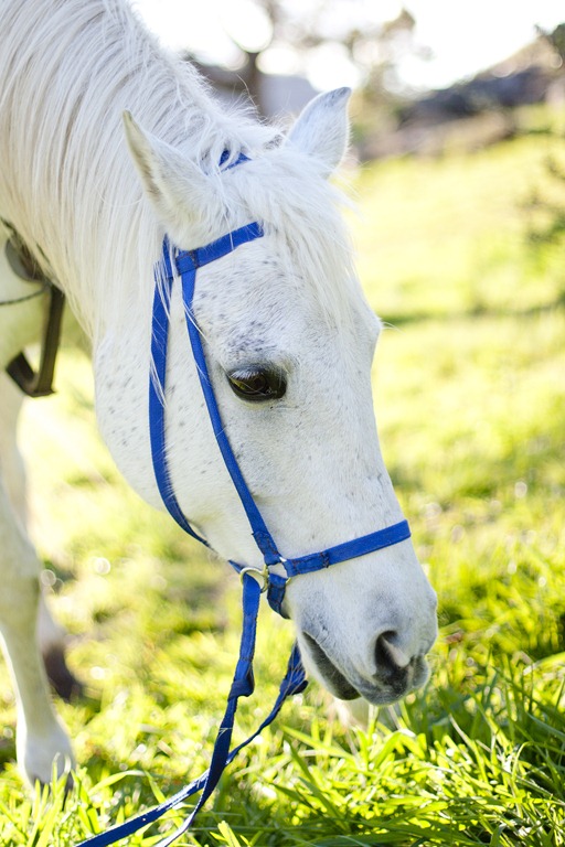 [065%255B5%255D.jpg]