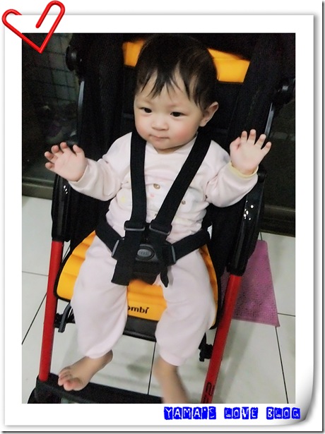 DSCF6795 DSCF6795