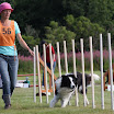 IMG_9842.JPG