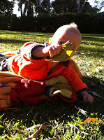 Playing with leaves