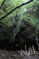 DSC00045.JPG Photo