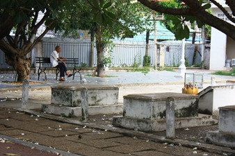 IMG_6518 IMG_6518