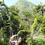 Au pied des Pitons du Carbet