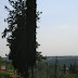 Vista panoràmica des de Ca n'Oliver