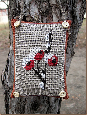 Шиповник Шиповник