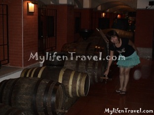 Wine Museum 34 Wine Museum 34