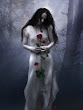Fog And Rose