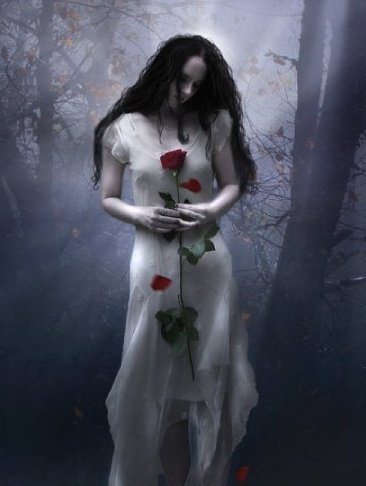 Fog And Rose, Gothic Girls
