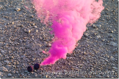 fireworks 1